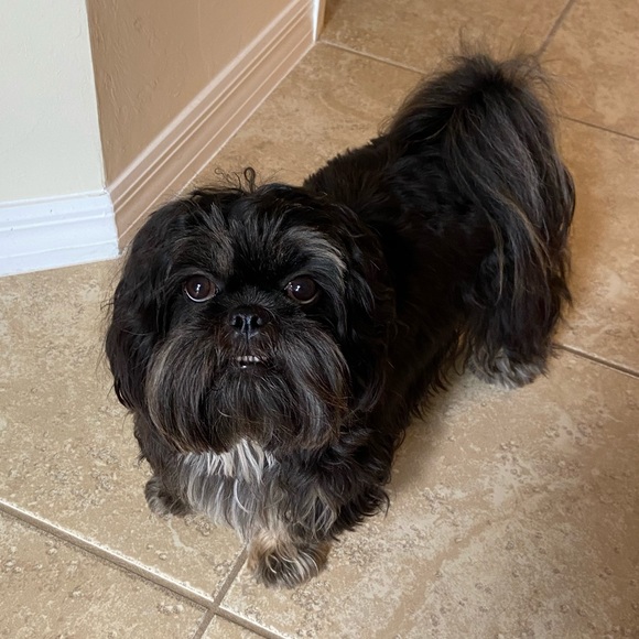 HI THERE💜I'M TILLIE - Picture 8 of 9